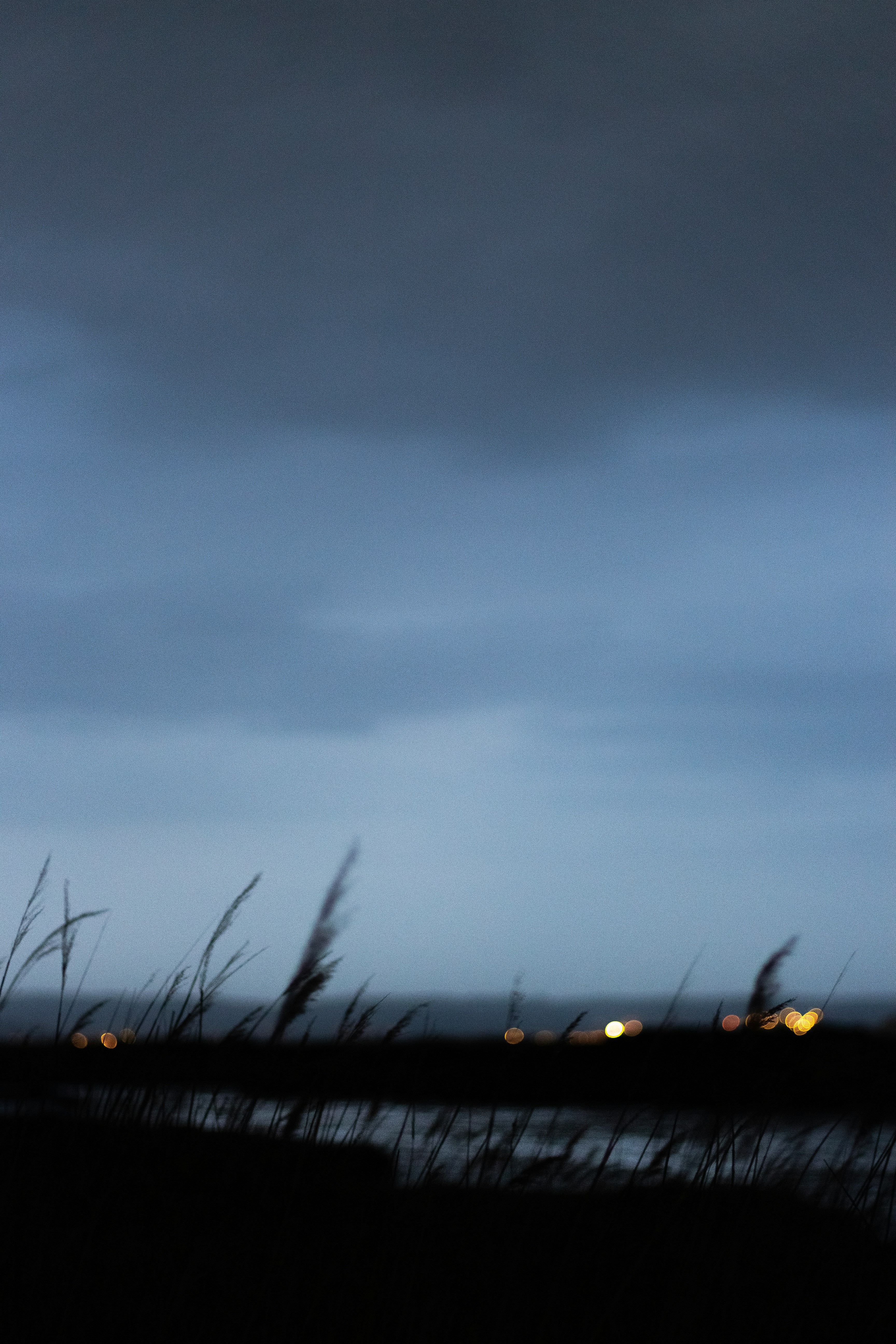 Dusk Coastal Reed Silhouette