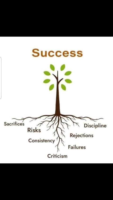 The Roots of Success Infographic