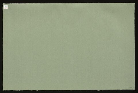Blank Light Green Paper Sheet