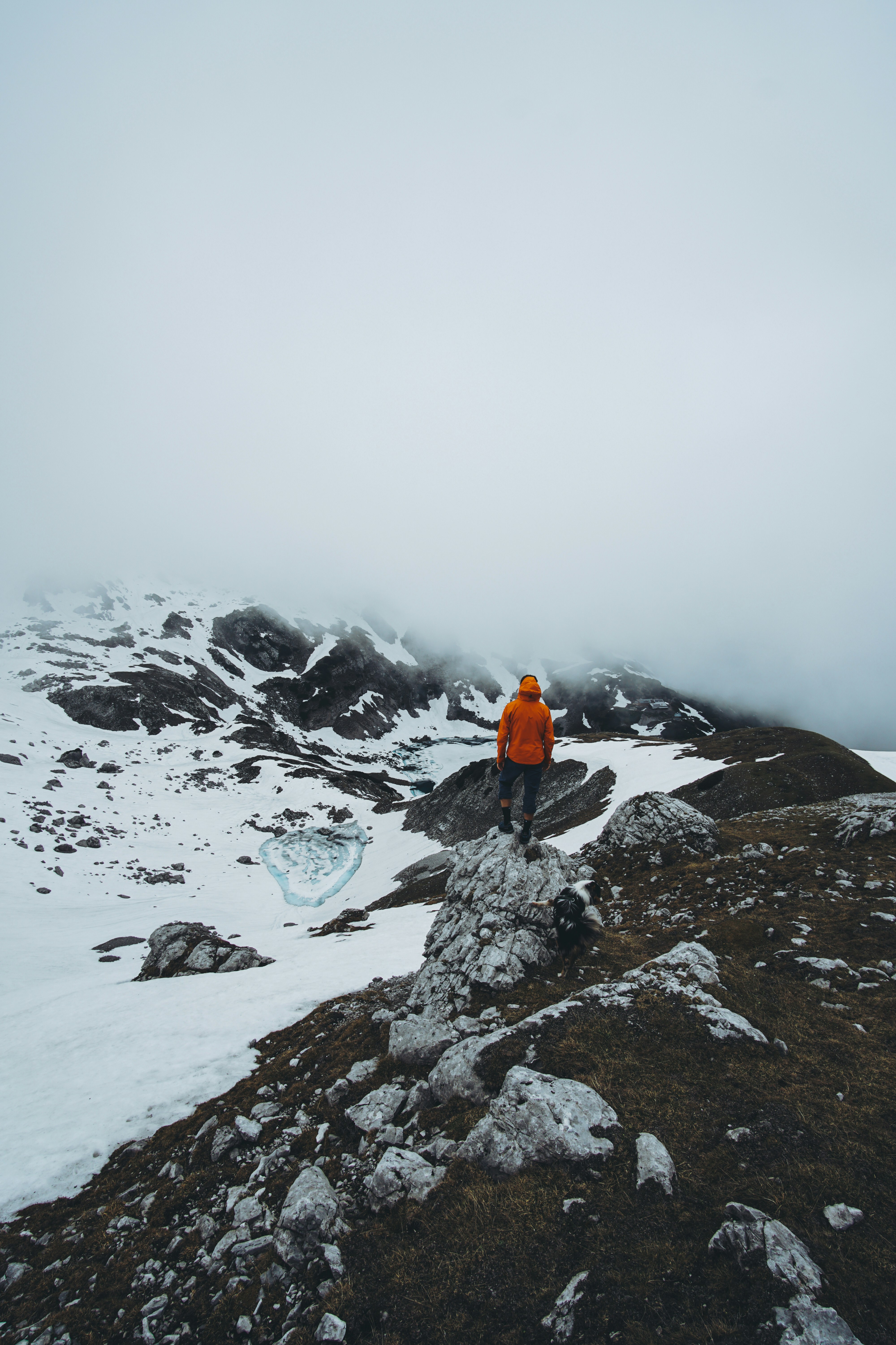 Hiker and Dog on Foggy Snowy Mountain