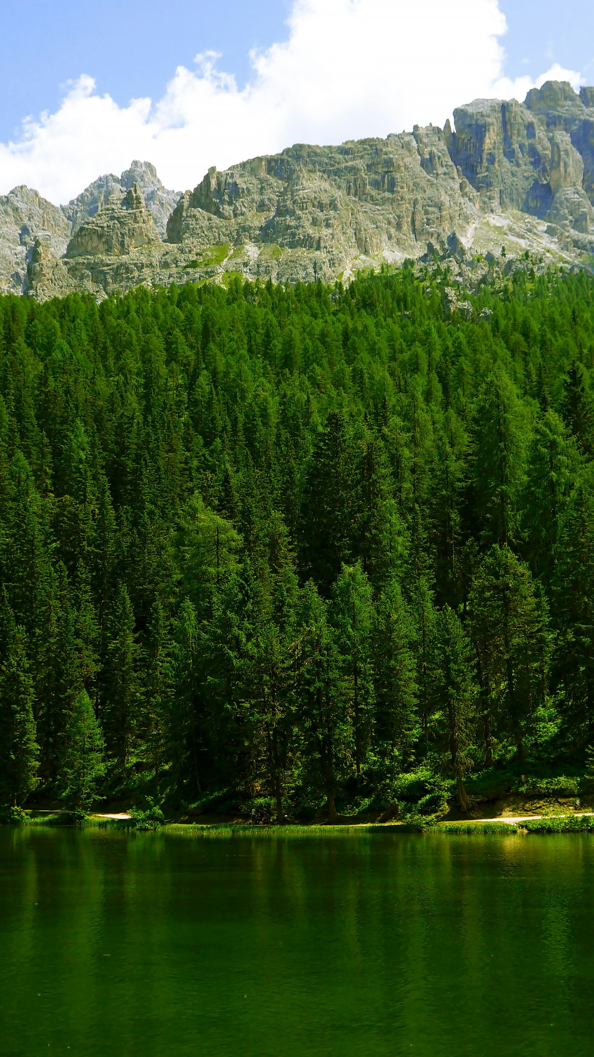 Landscapes