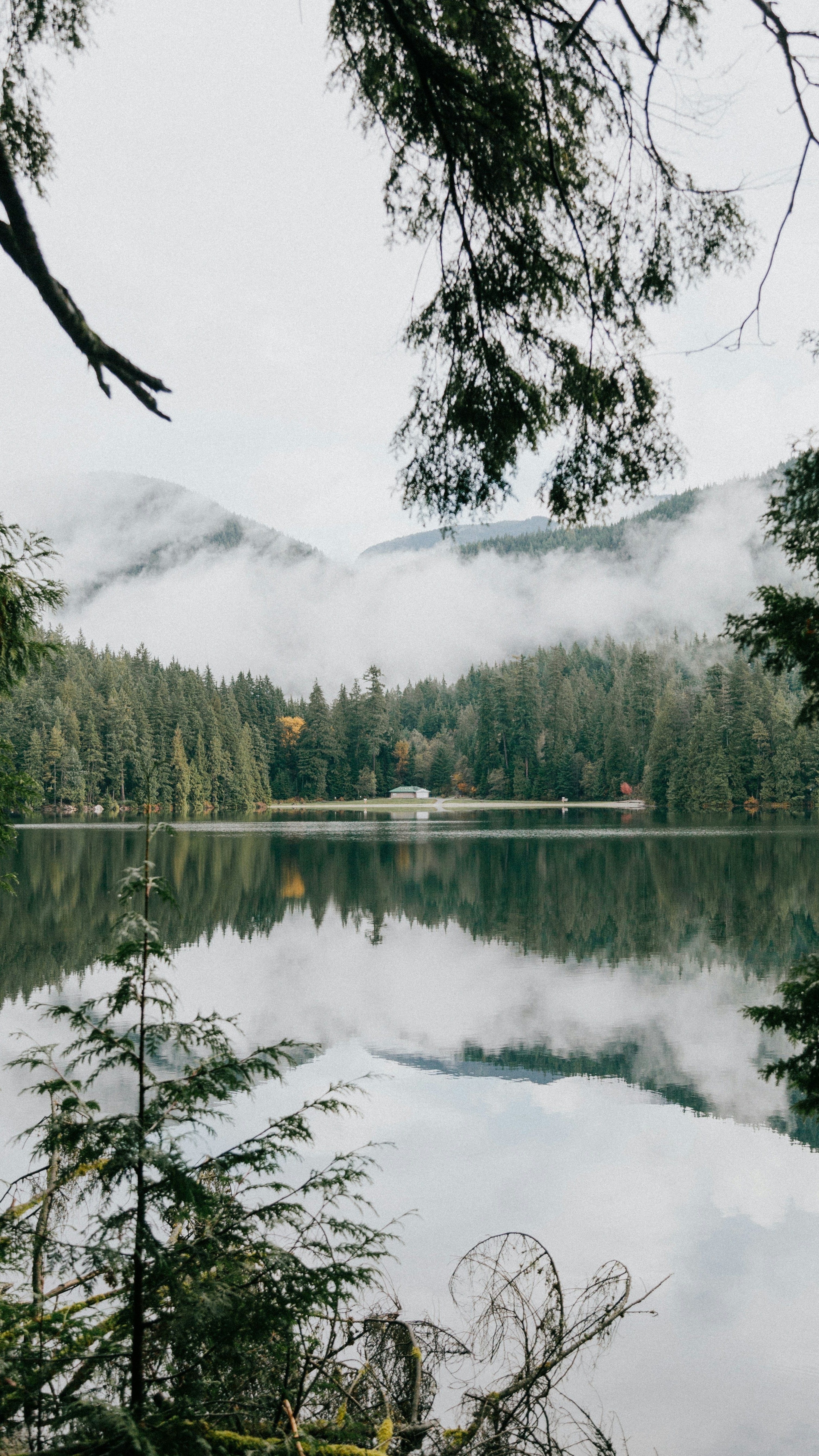 Landscapes