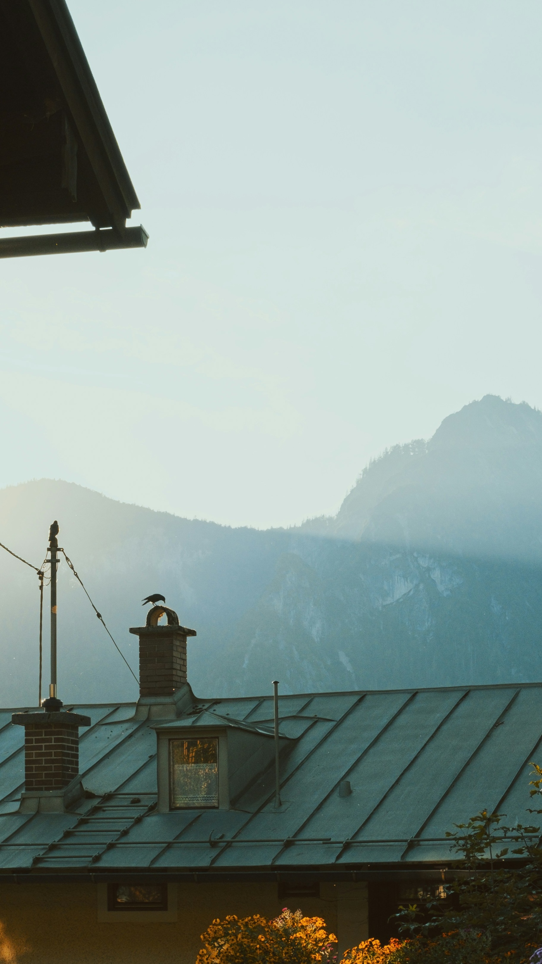 Landscapes