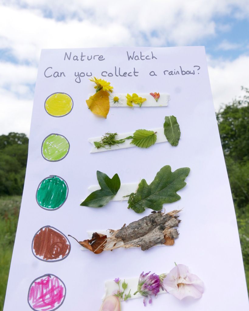 Image 71134 — Nature