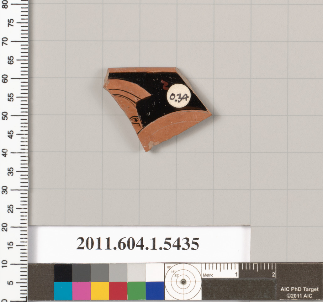 Ancient Pottery Fragment Specimen