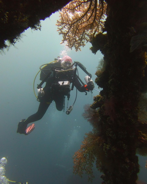 Scuba Diver Exploring Underwater Coral Reef