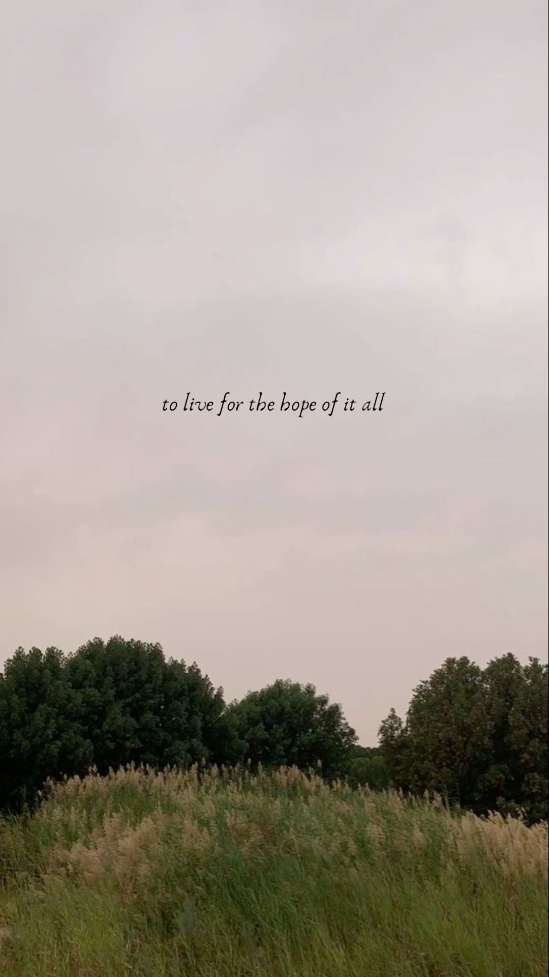 Wallpapers