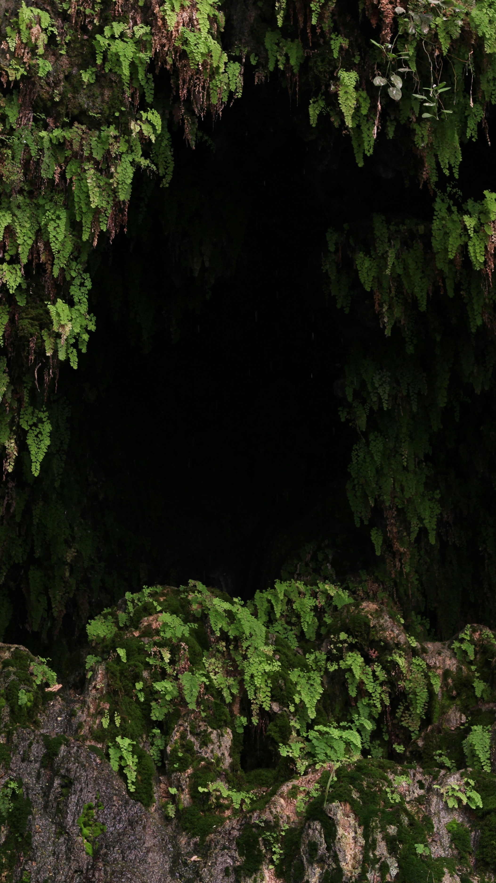 Image 1568338 — Art