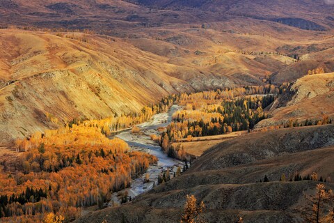 Golden Autumn Mountain Valley Landscape