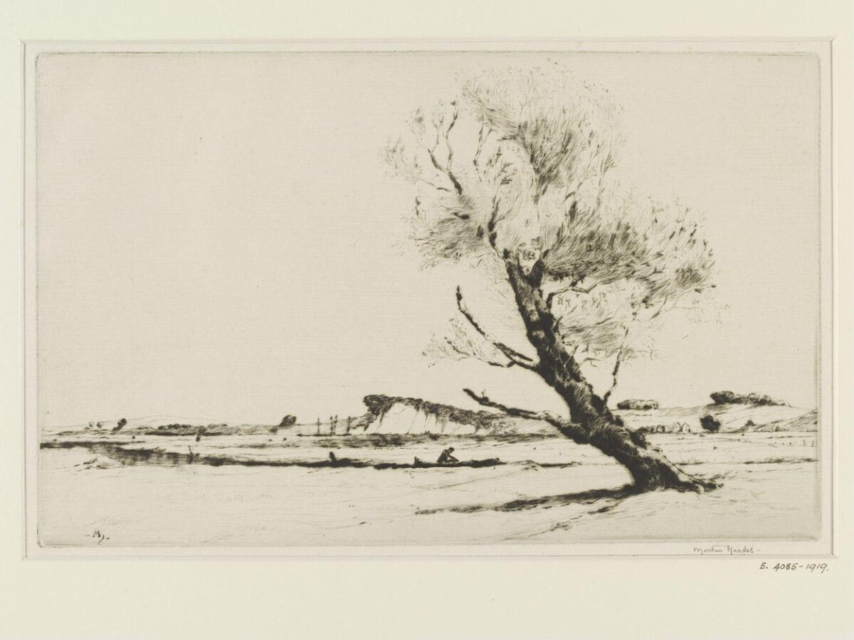 Riverside Landscape with Leaning Tree