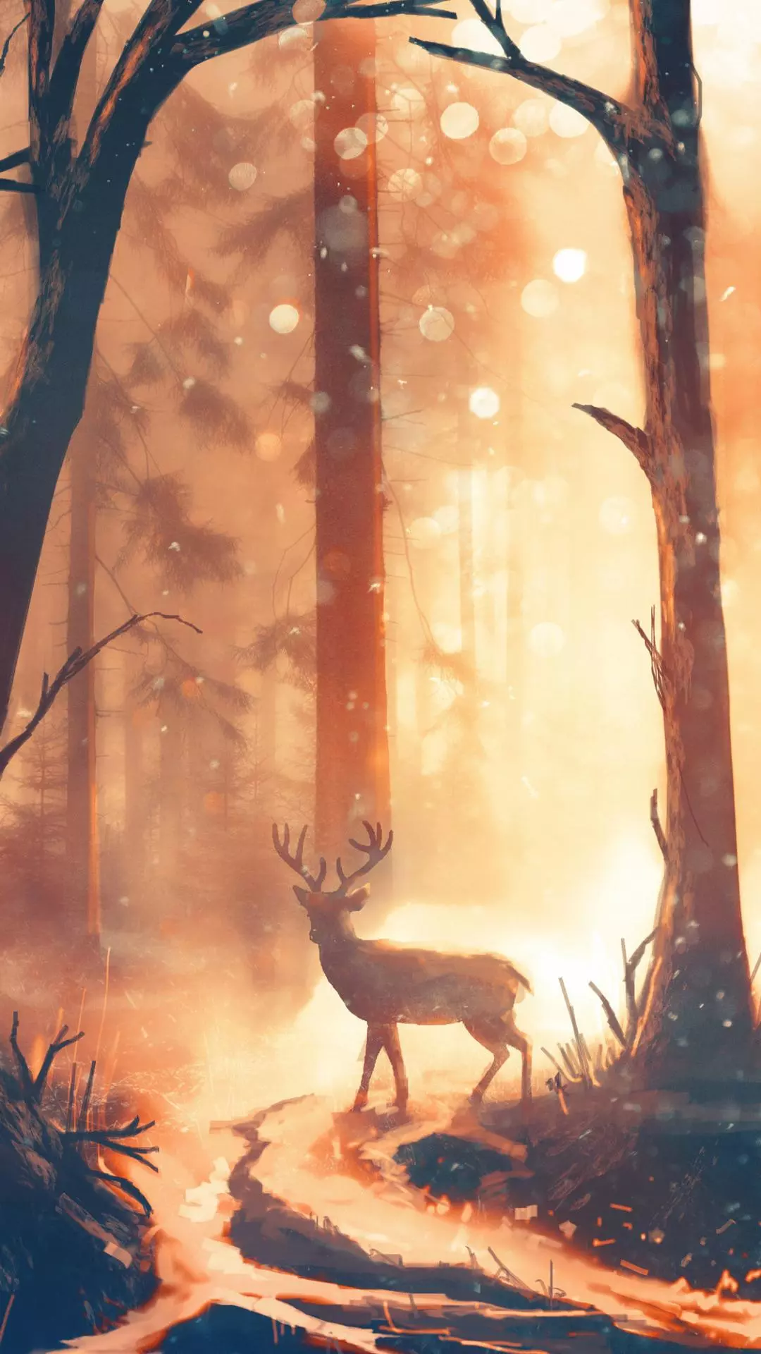 Wallpapers