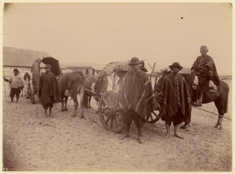 Vintage travelers with ox carts and horse