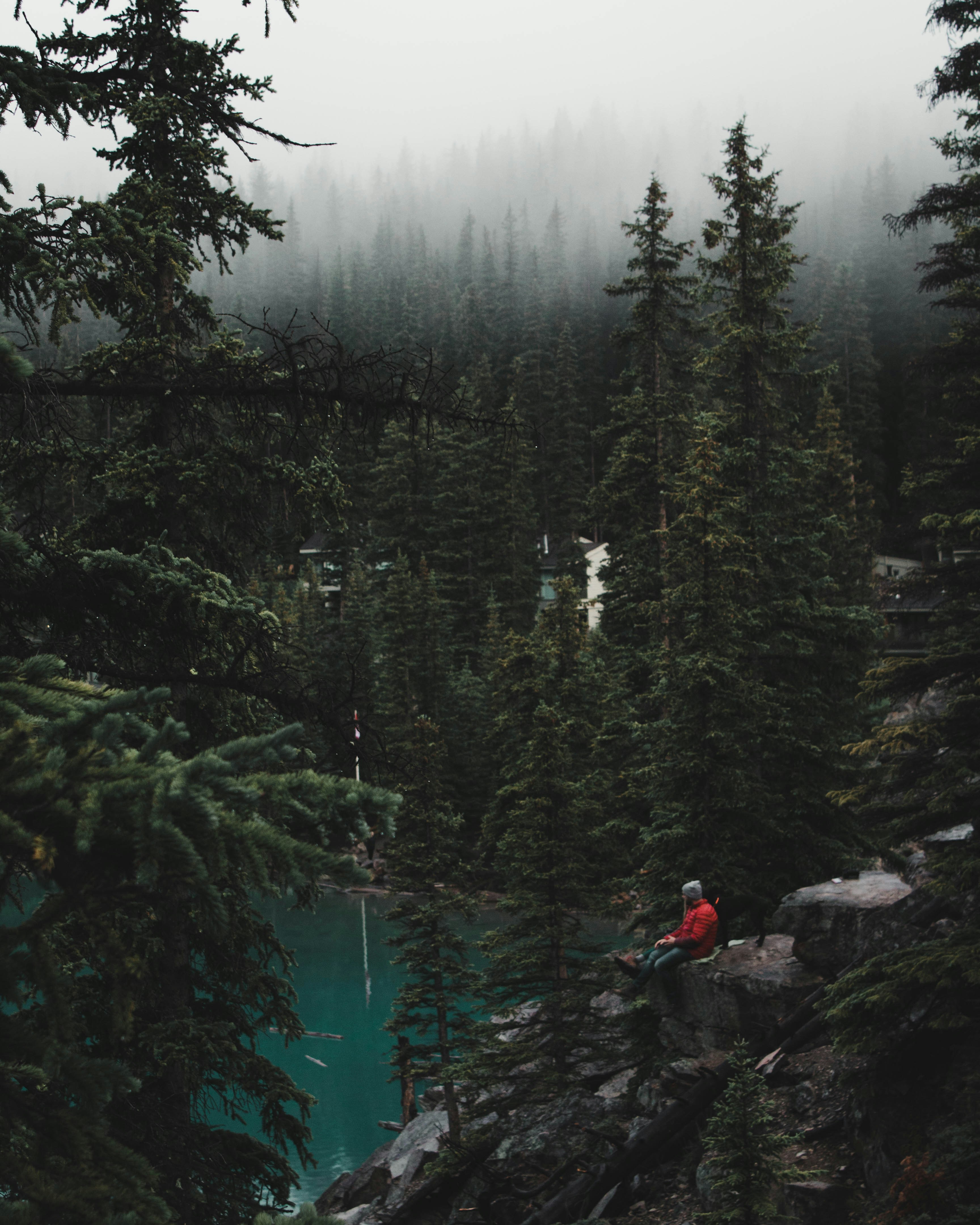Foggy Forest Lake With Resting Hiker