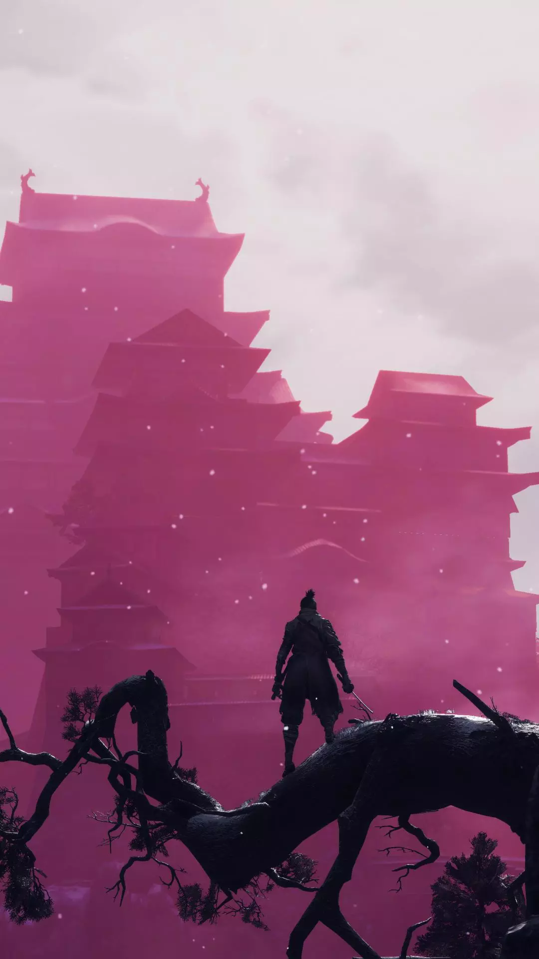 Wallpapers