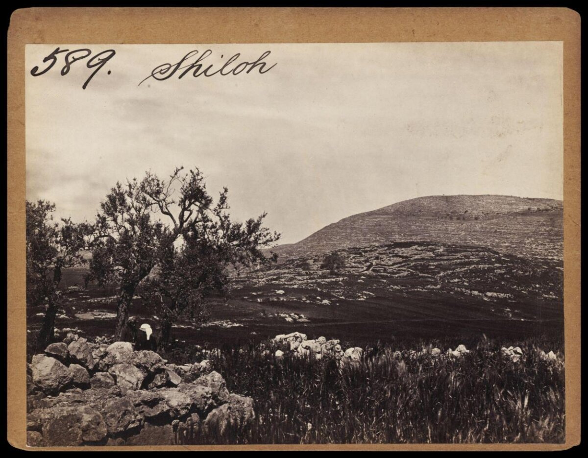 Vintage Shiloh Countryside Landscape