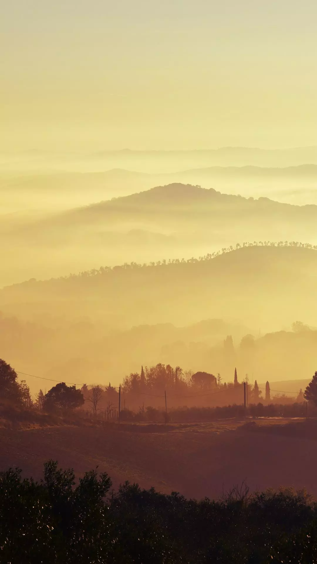Landscapes