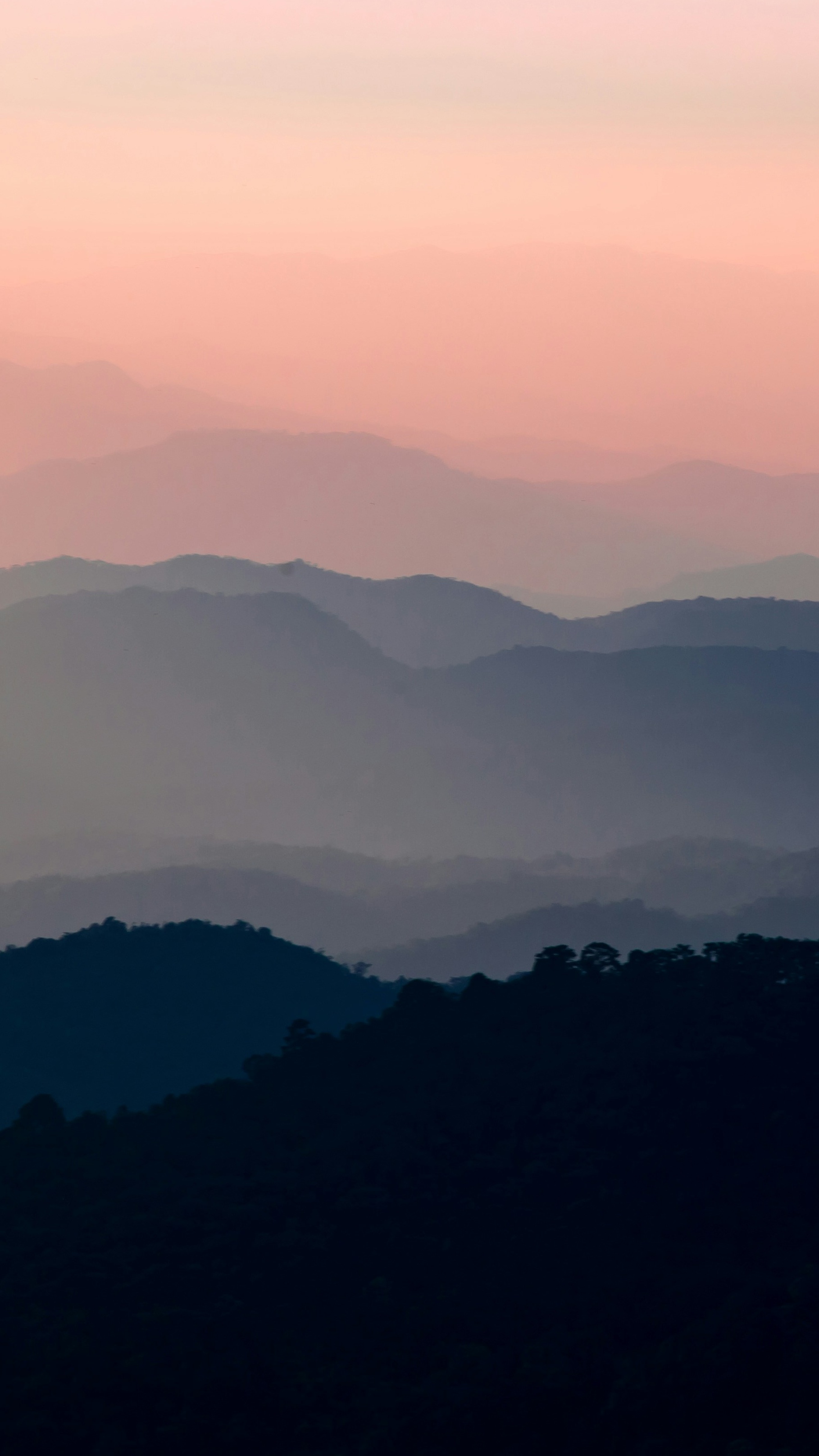 Landscapes