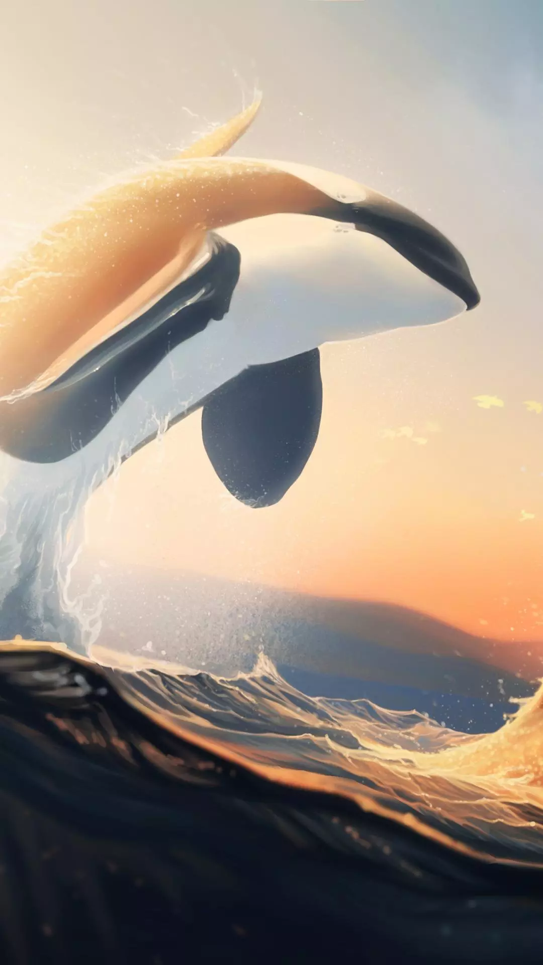 Wallpapers