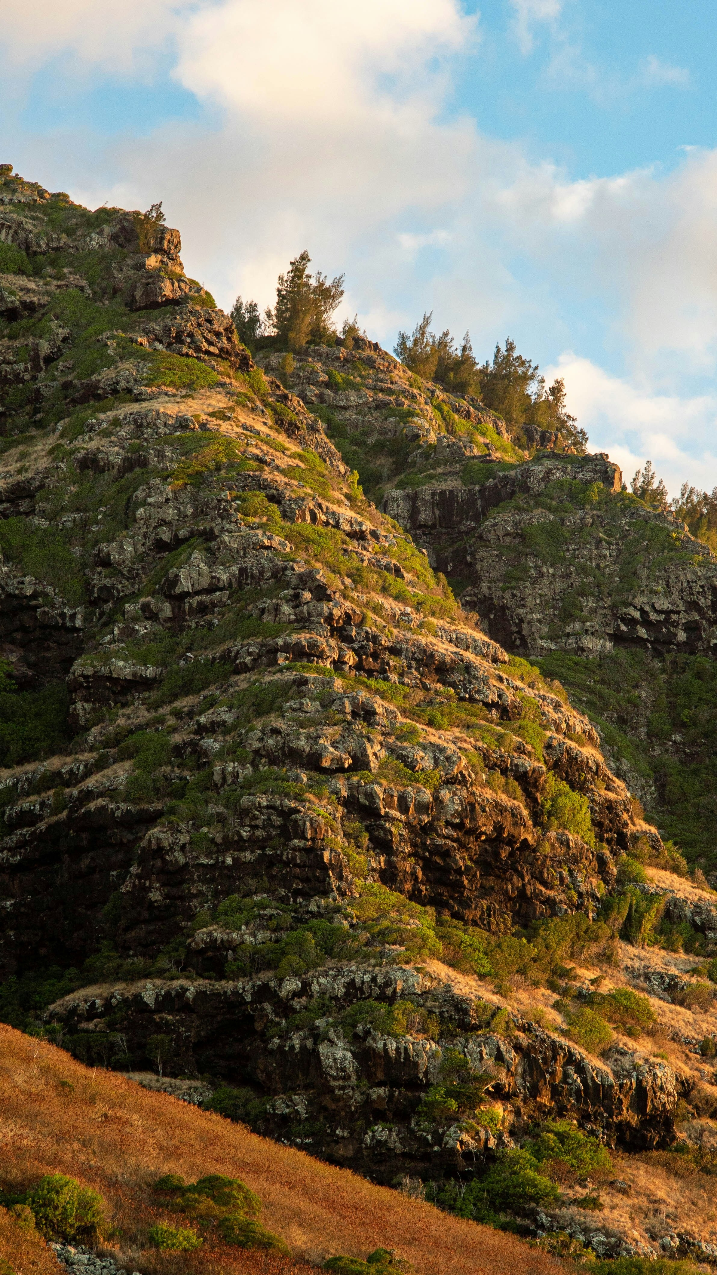 Sunlit Rocky Mountain Cliffs