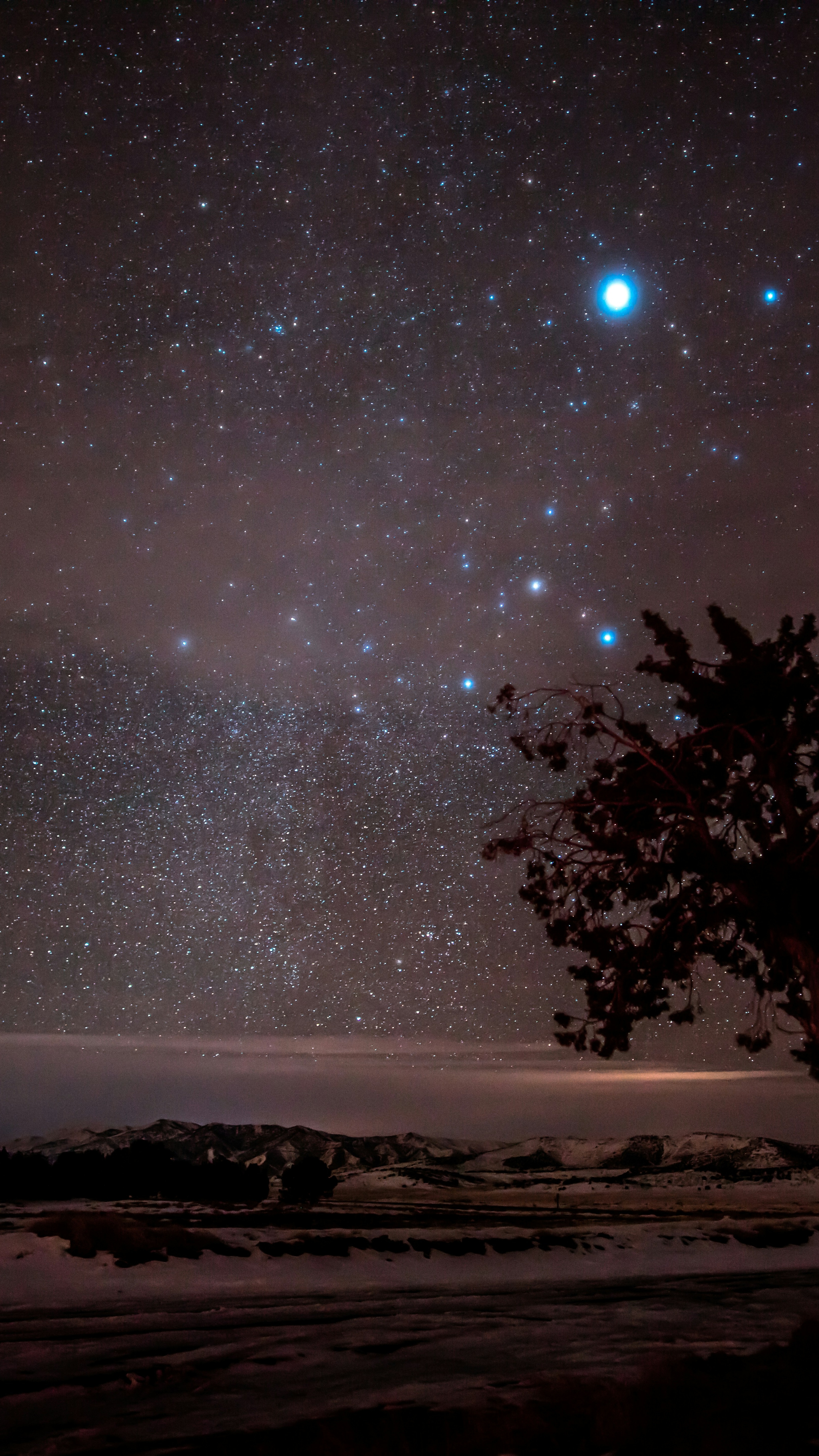 Starry Winter Night Landscape