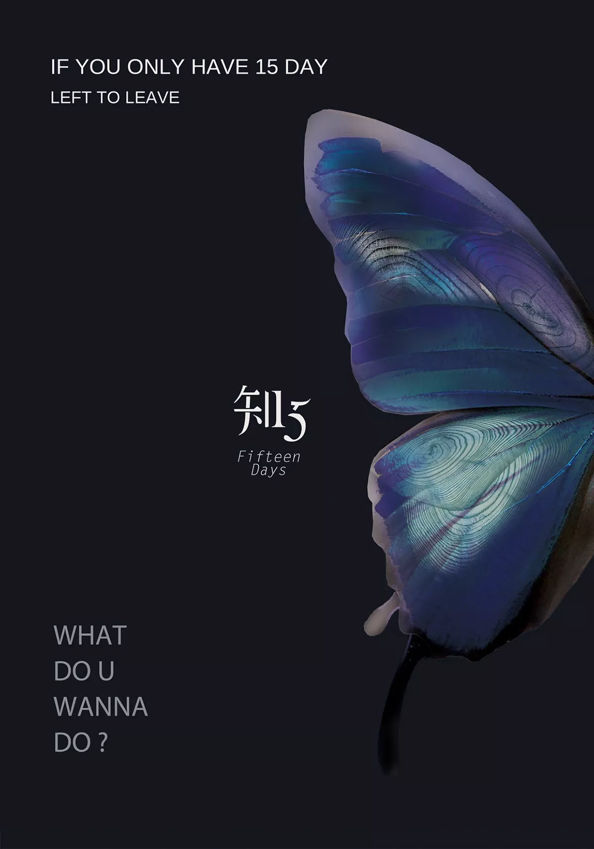 Fifteen Days Promotional Poster