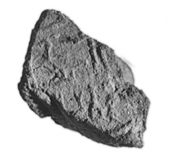 Rough Rock Geological Specimen