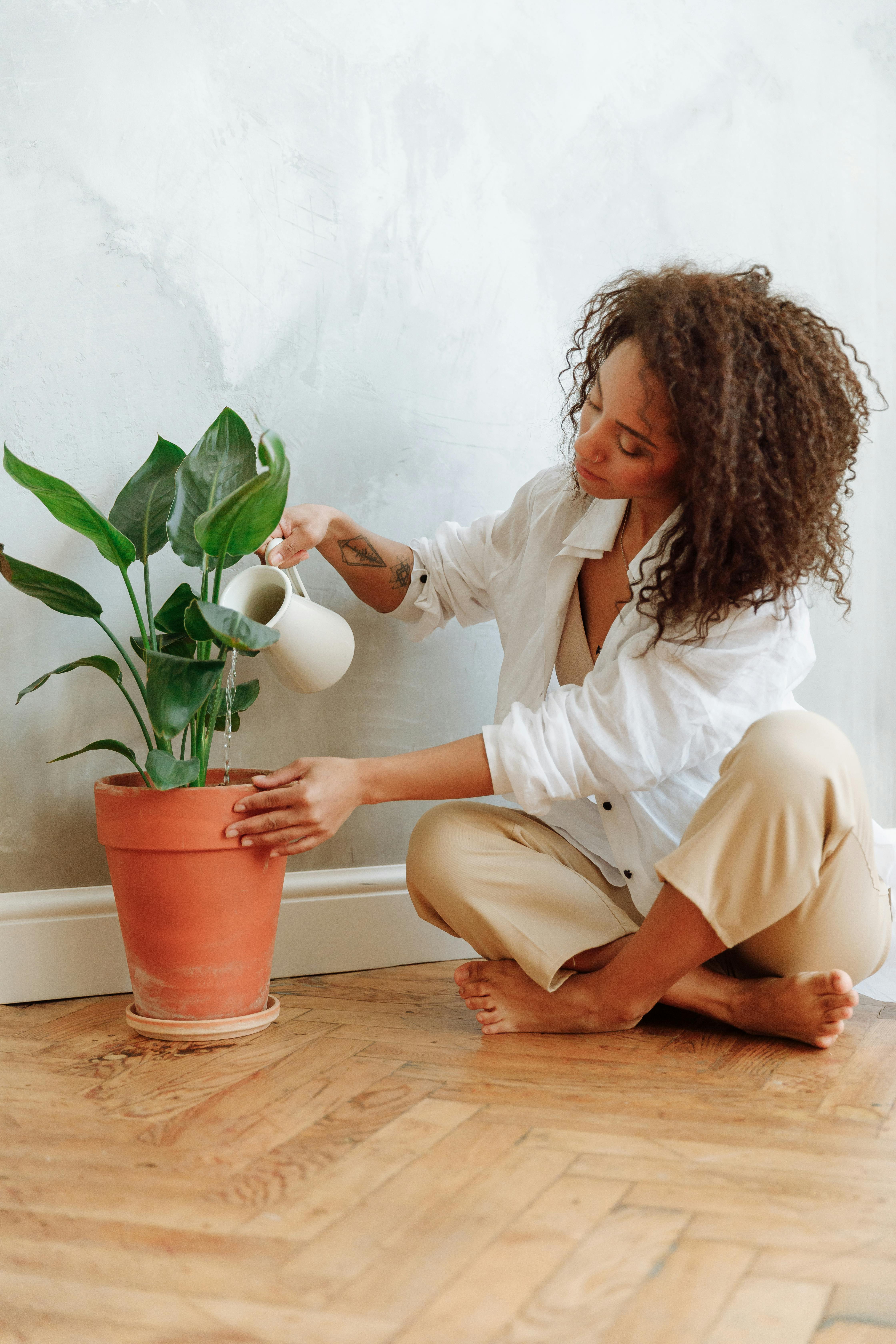 Home Decoration