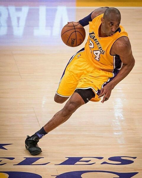Kobe Bryant Dribbling Basketball On Court