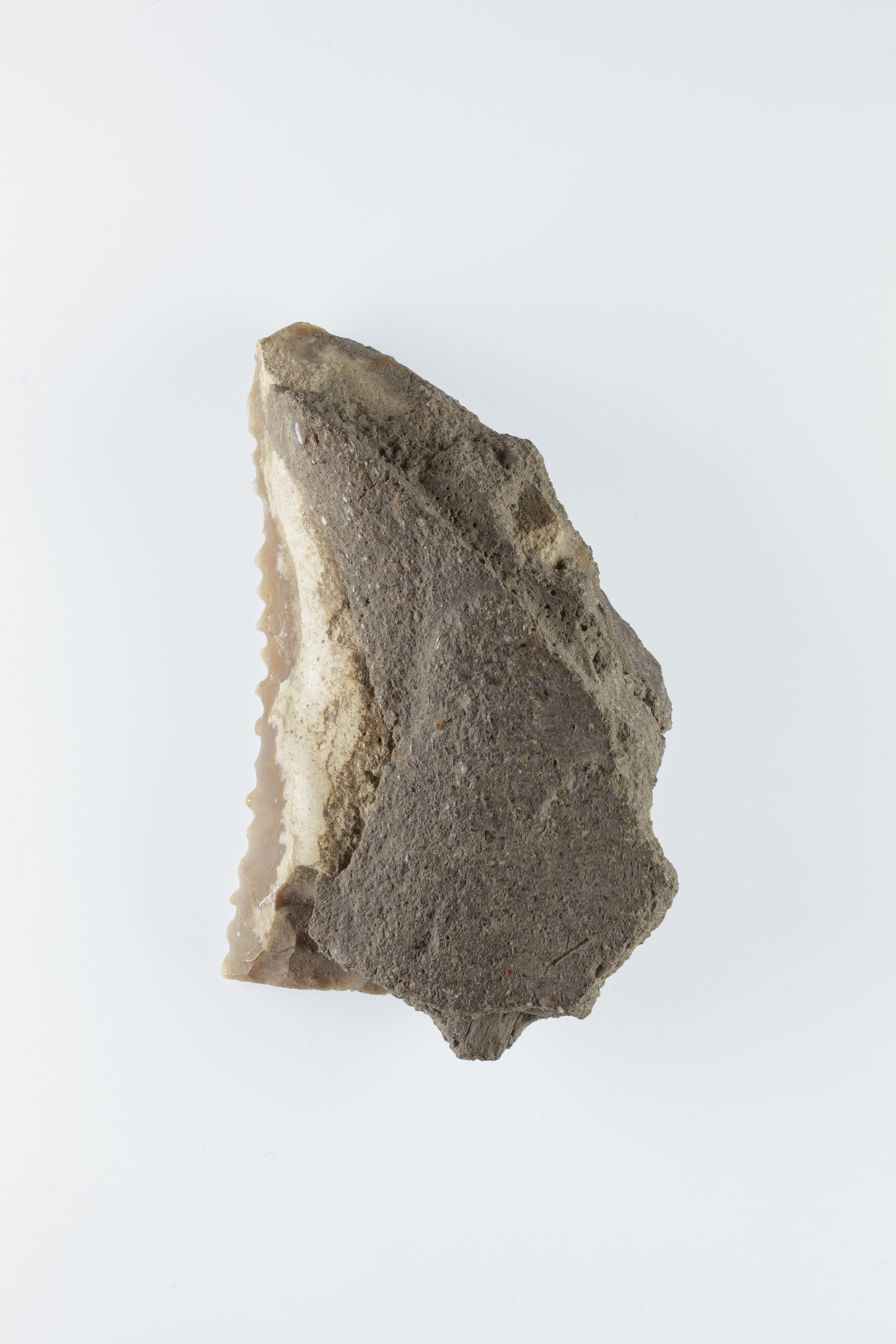 Serrated Ancient Stone Tool Fragment