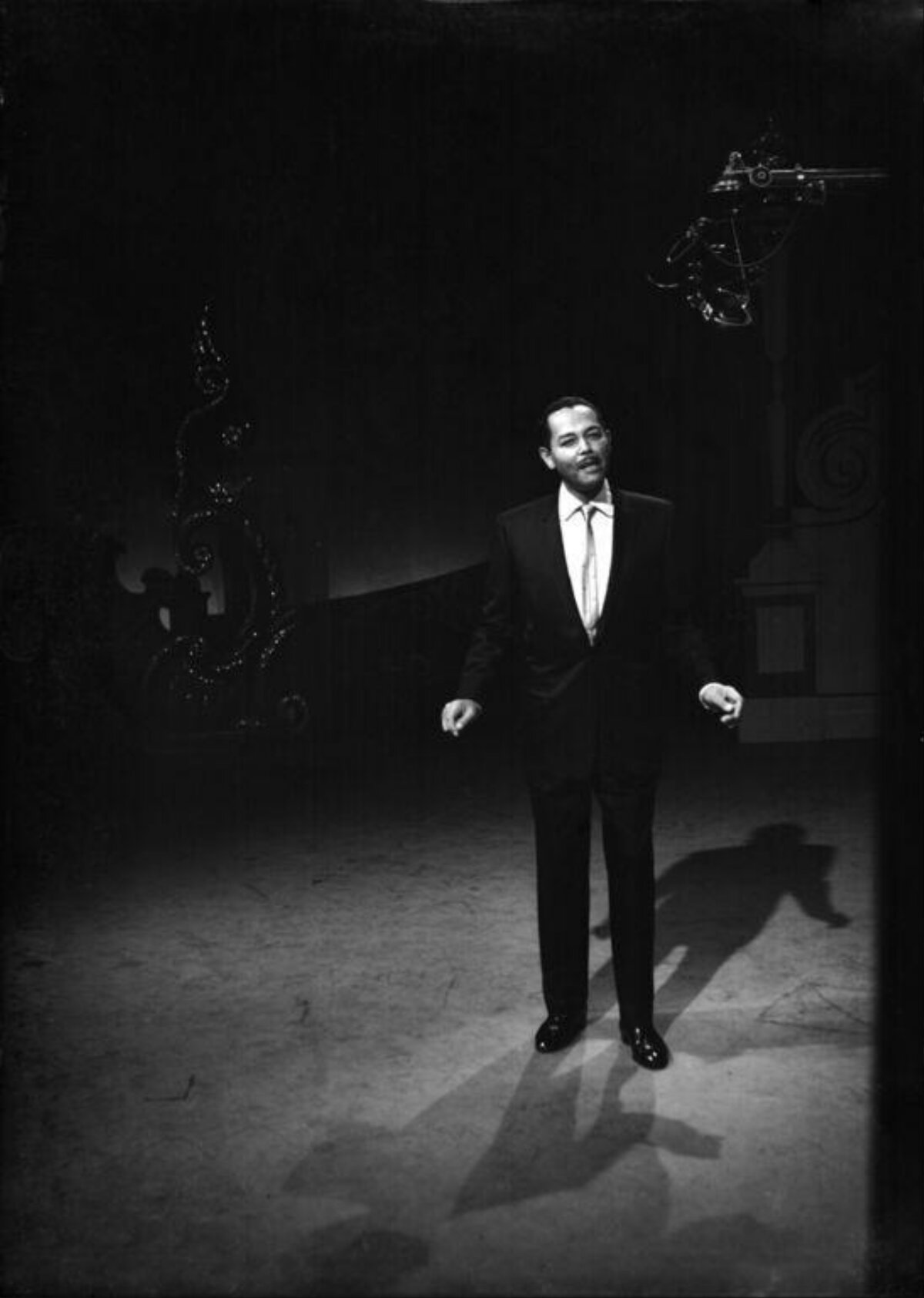 Male Performer on Stage