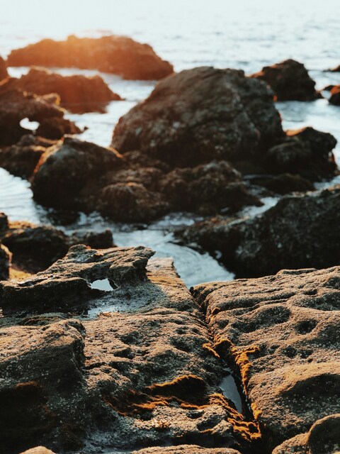 Sunlit Coastal Rocky Shore