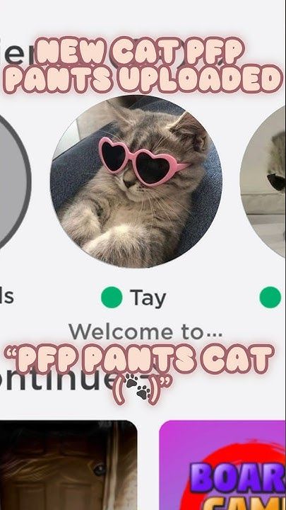 New Cat PFP Pants Uploaded