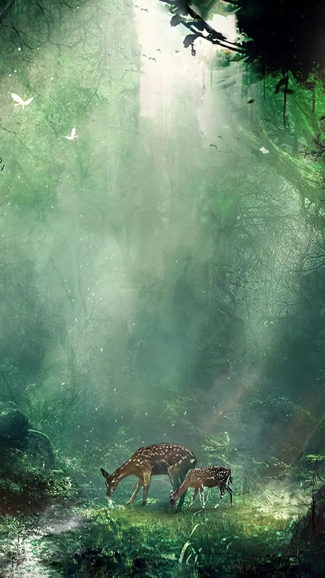 Wallpapers