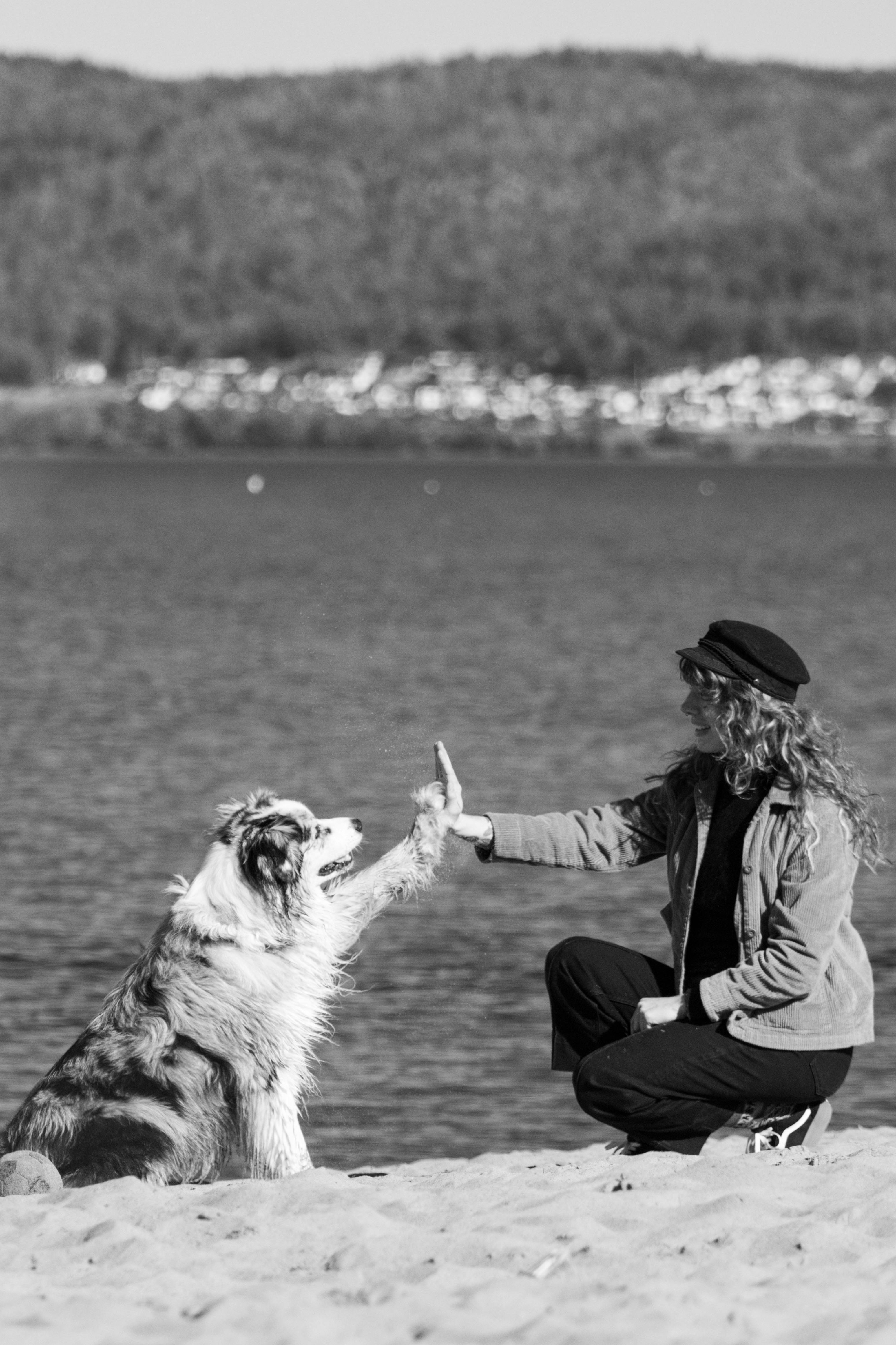 Woman and Dog High Five at Beach