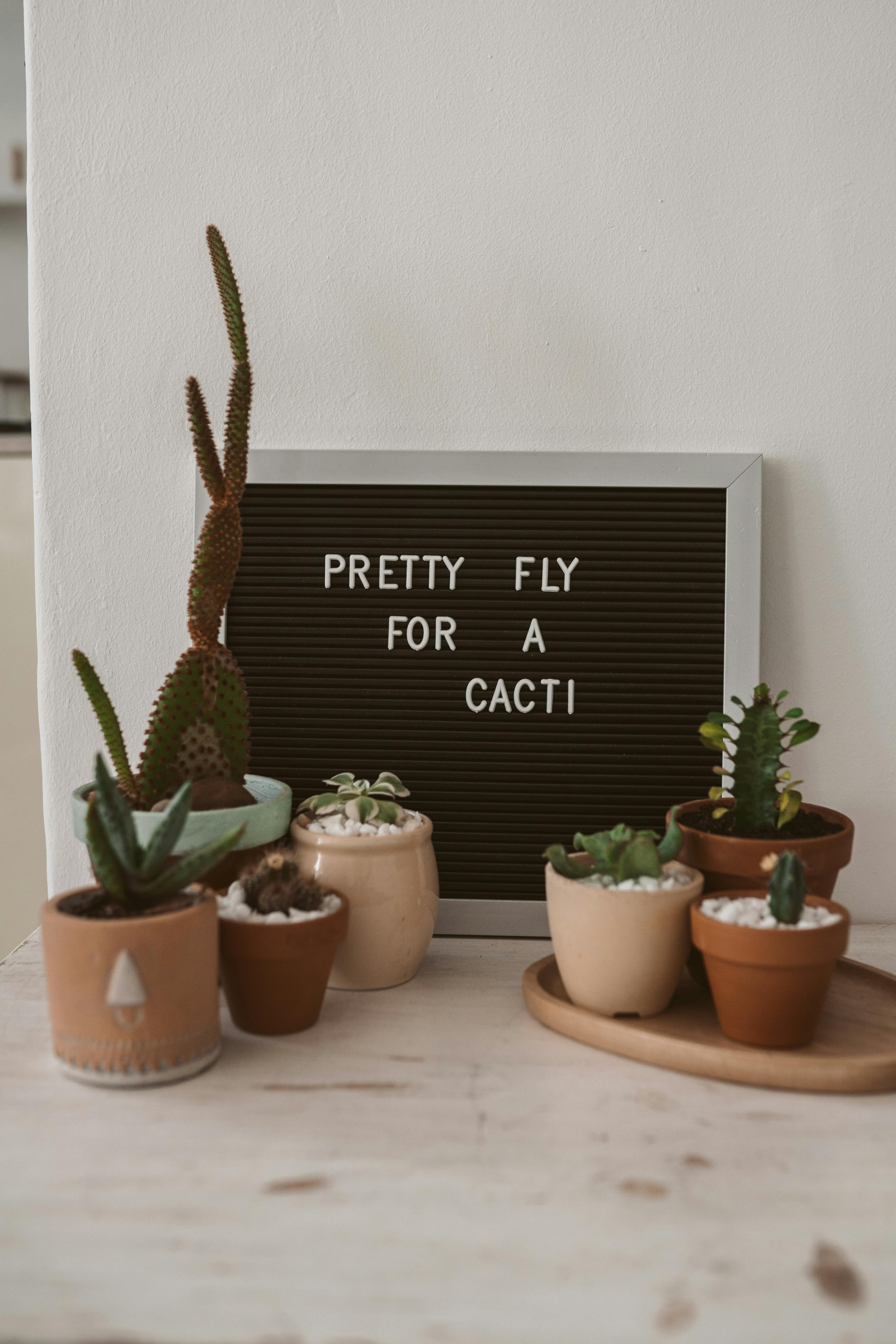 Home Decoration