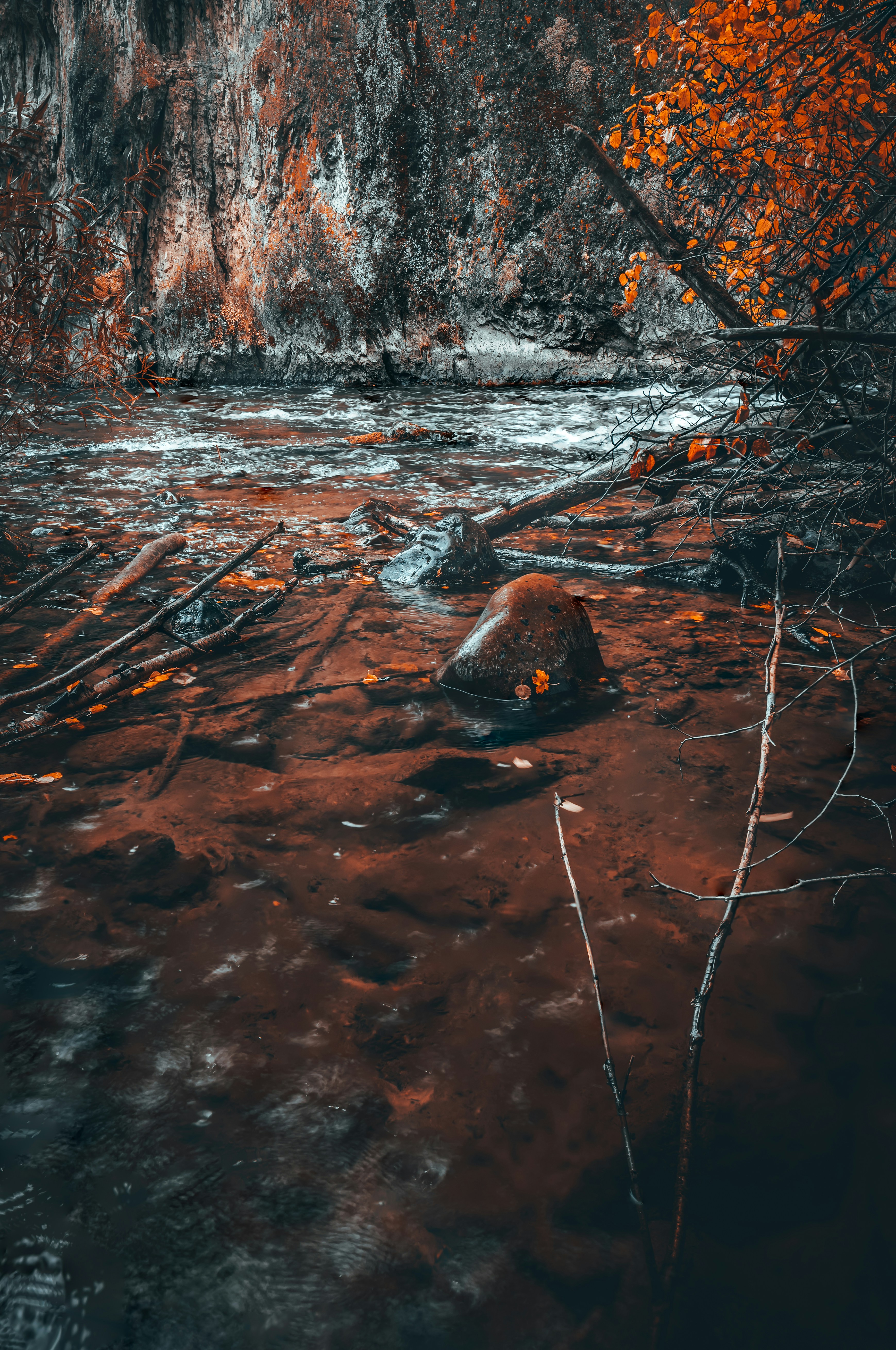 Autumn Stream by Rocky Cliff