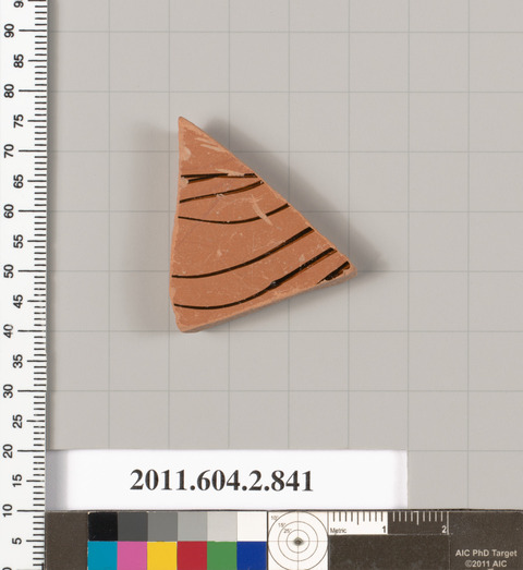 Archaeological Pottery Shard Specimen