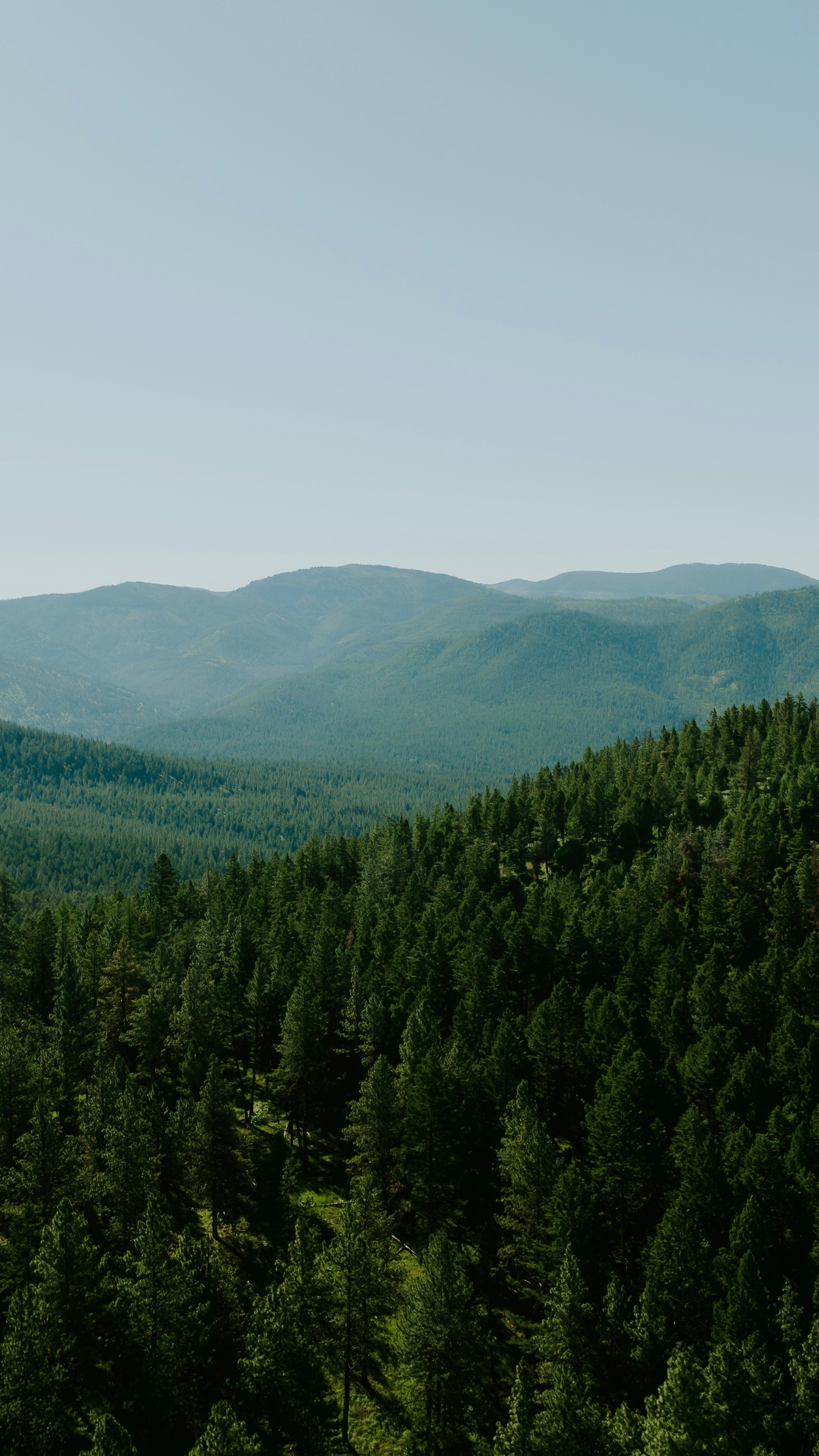 Landscapes
