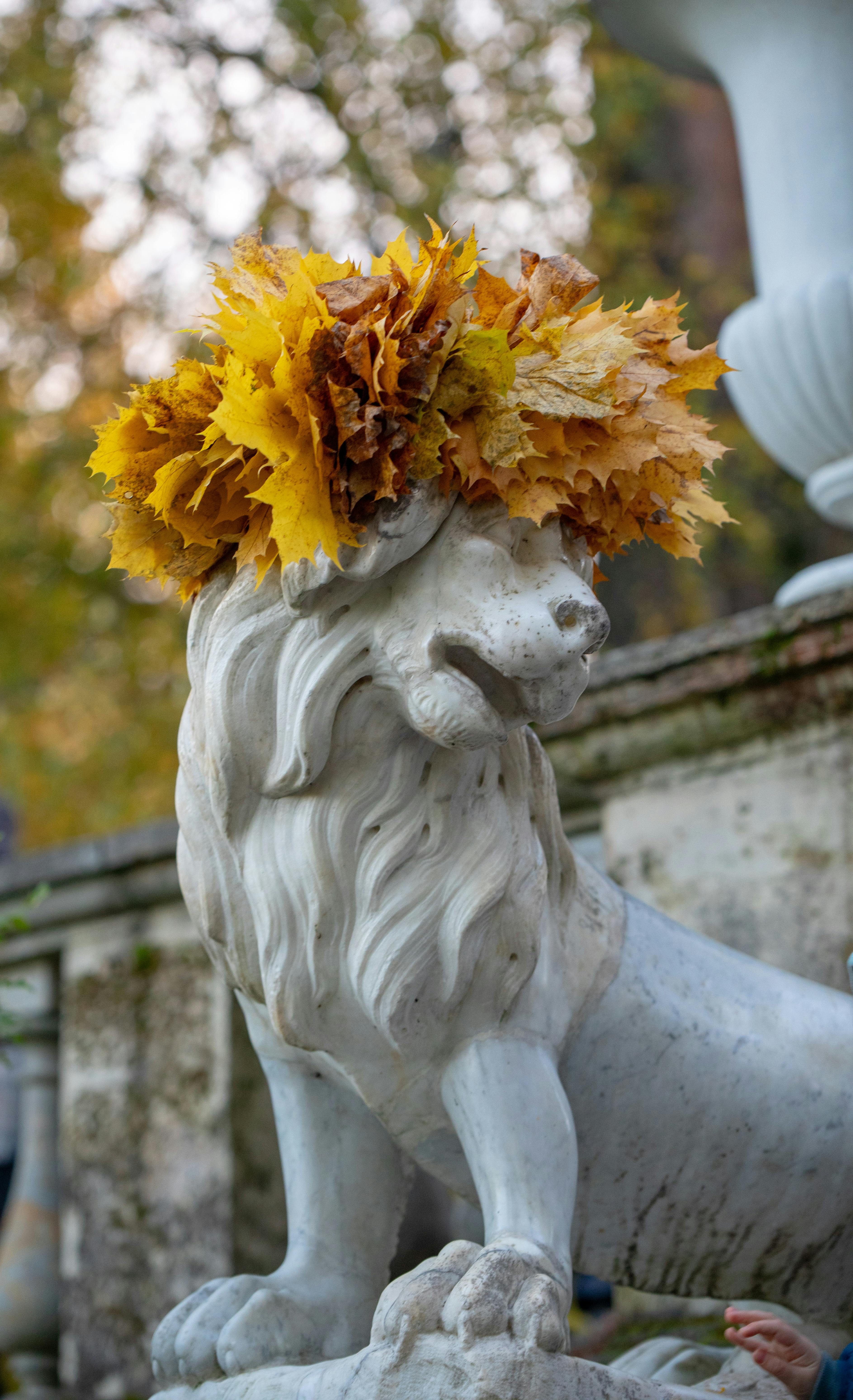 Lion Statue with Autumn Leaf Crown
