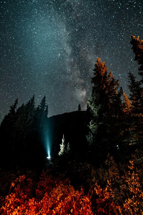 Starry Night Over Mountain Forest
