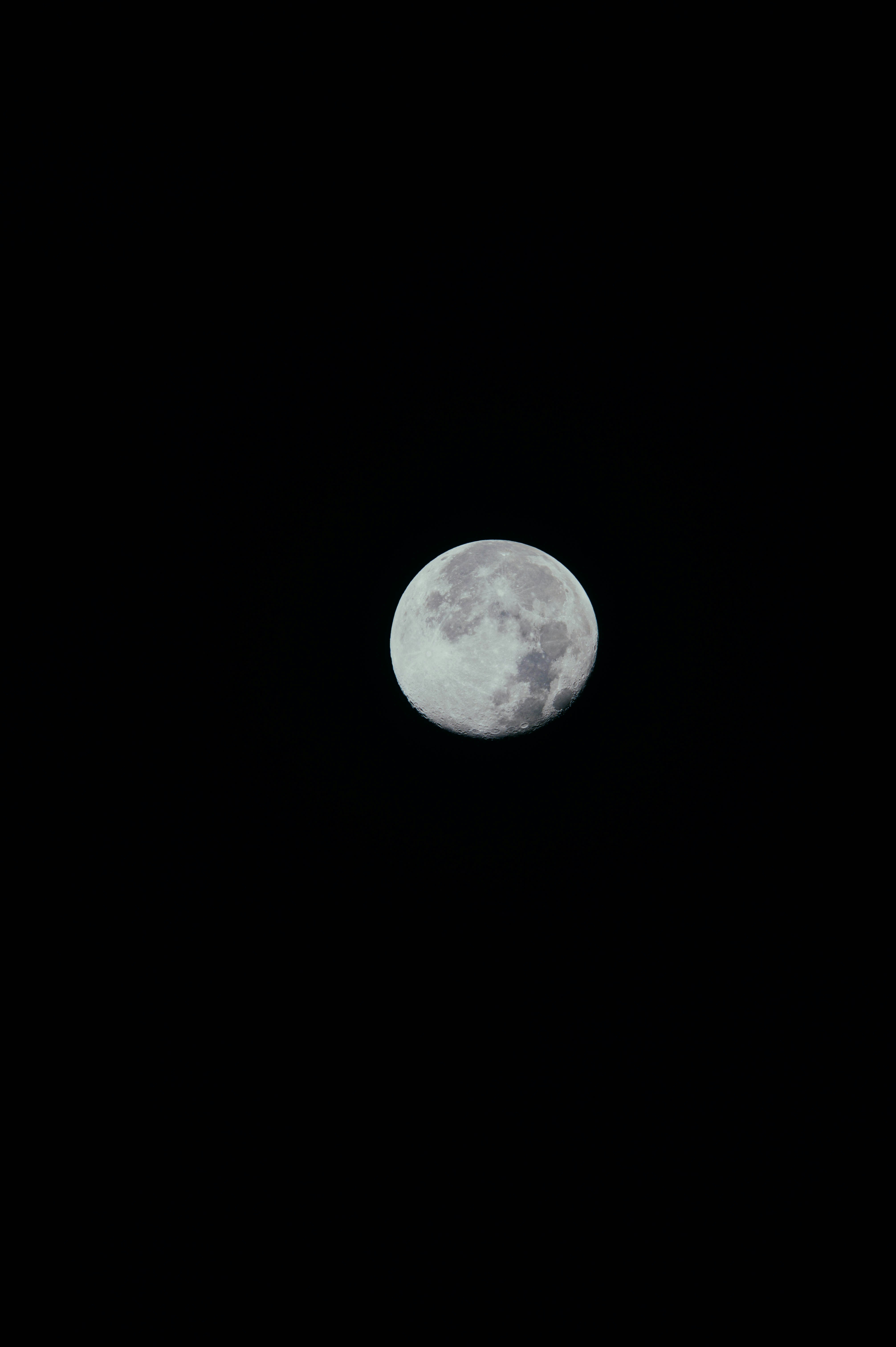 Gibbous Moon in Night Sky