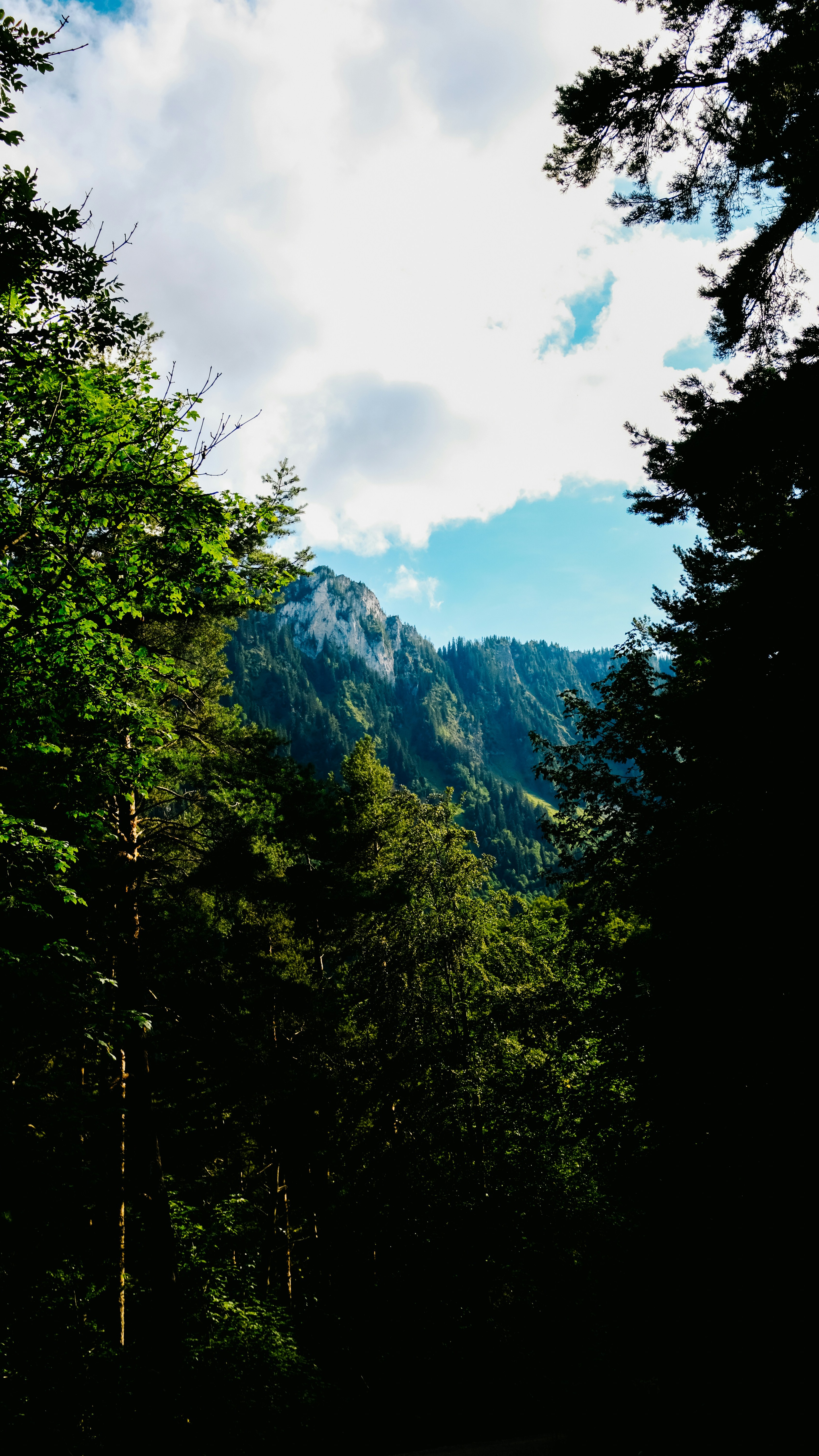 Landscapes
