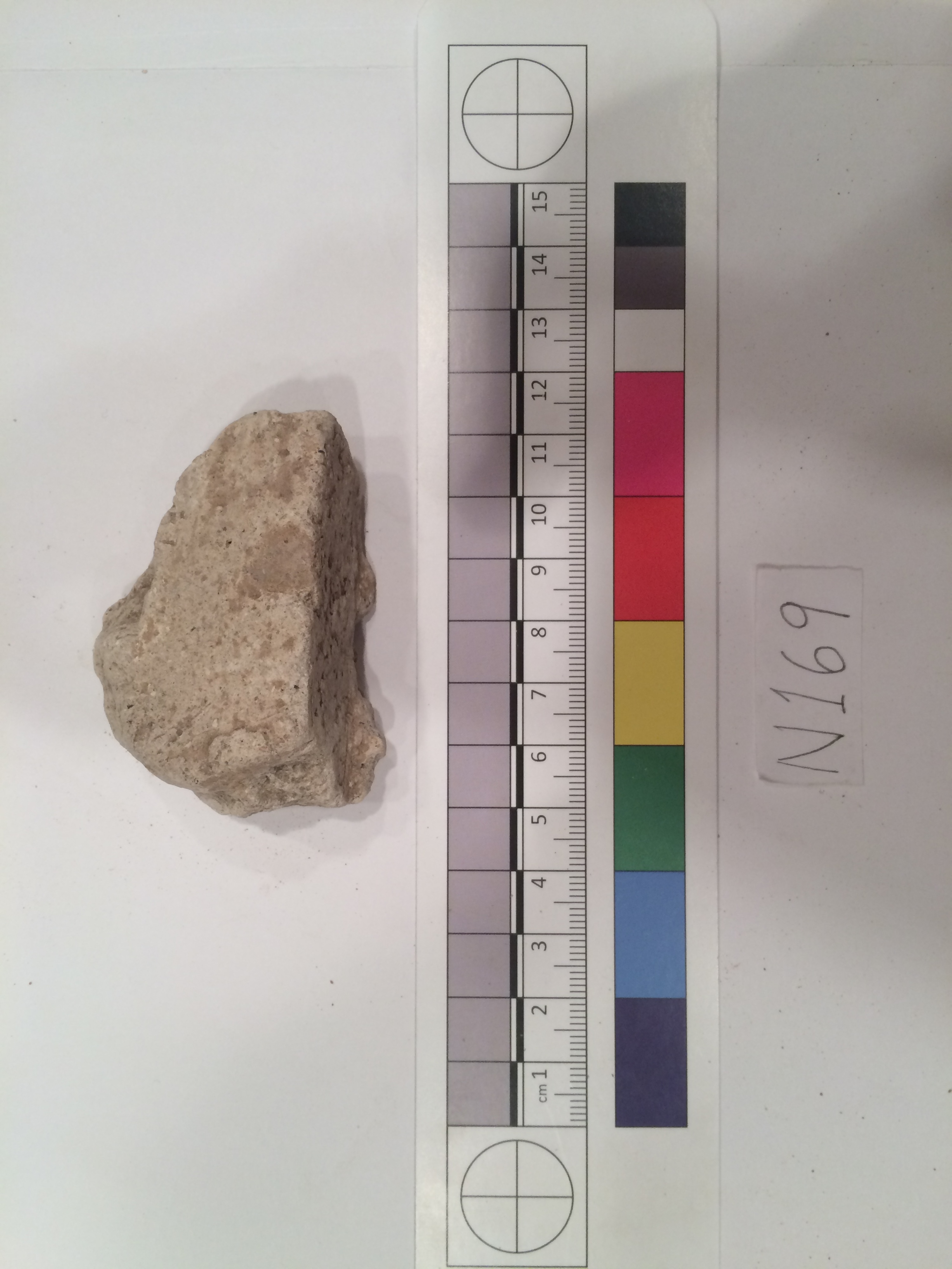 Archaeological Specimen N169