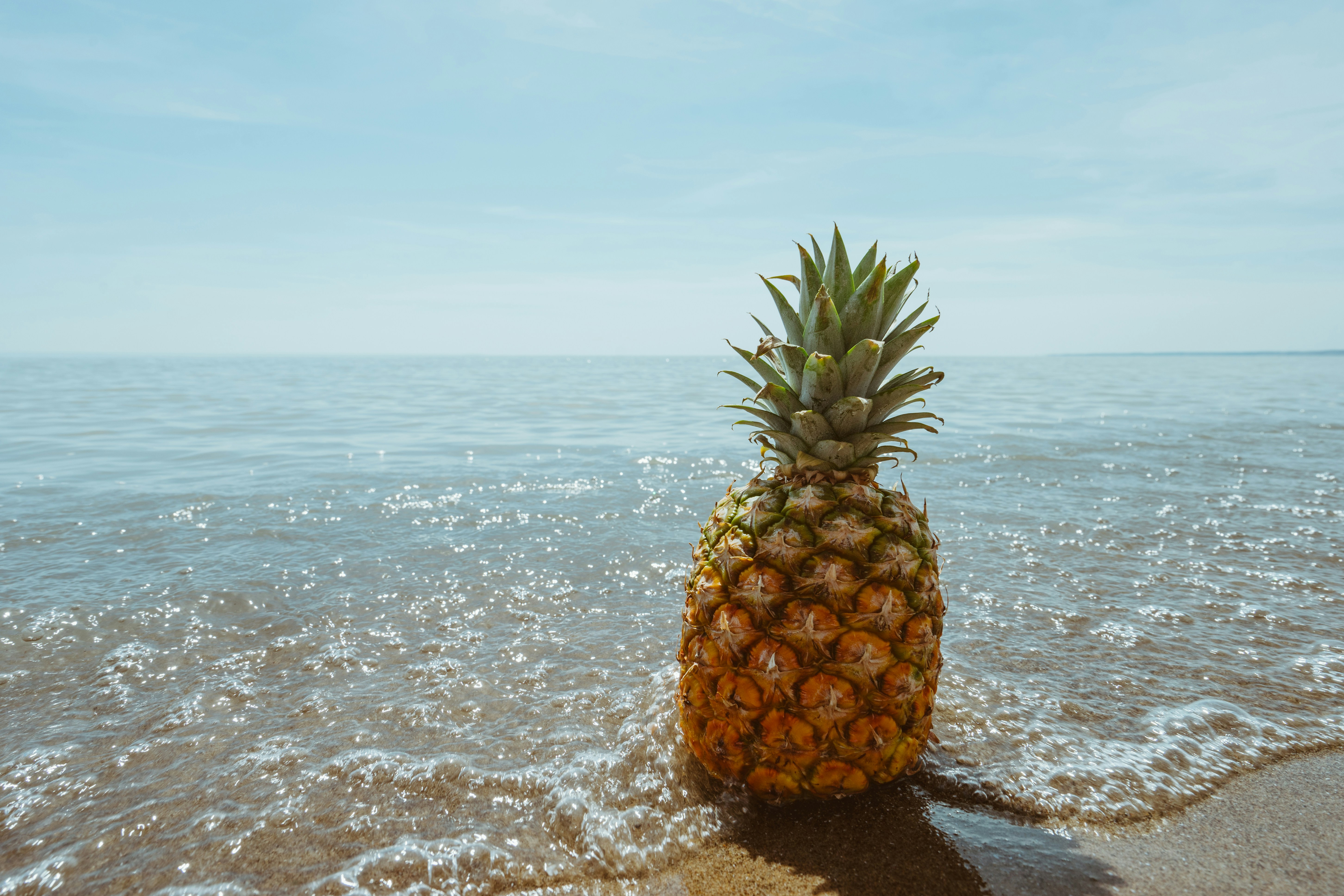 Pineapple on Seaside Beach