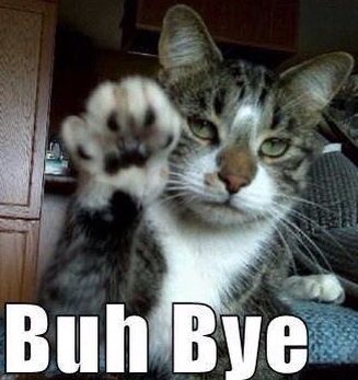 Buh Bye Waving Cat Meme