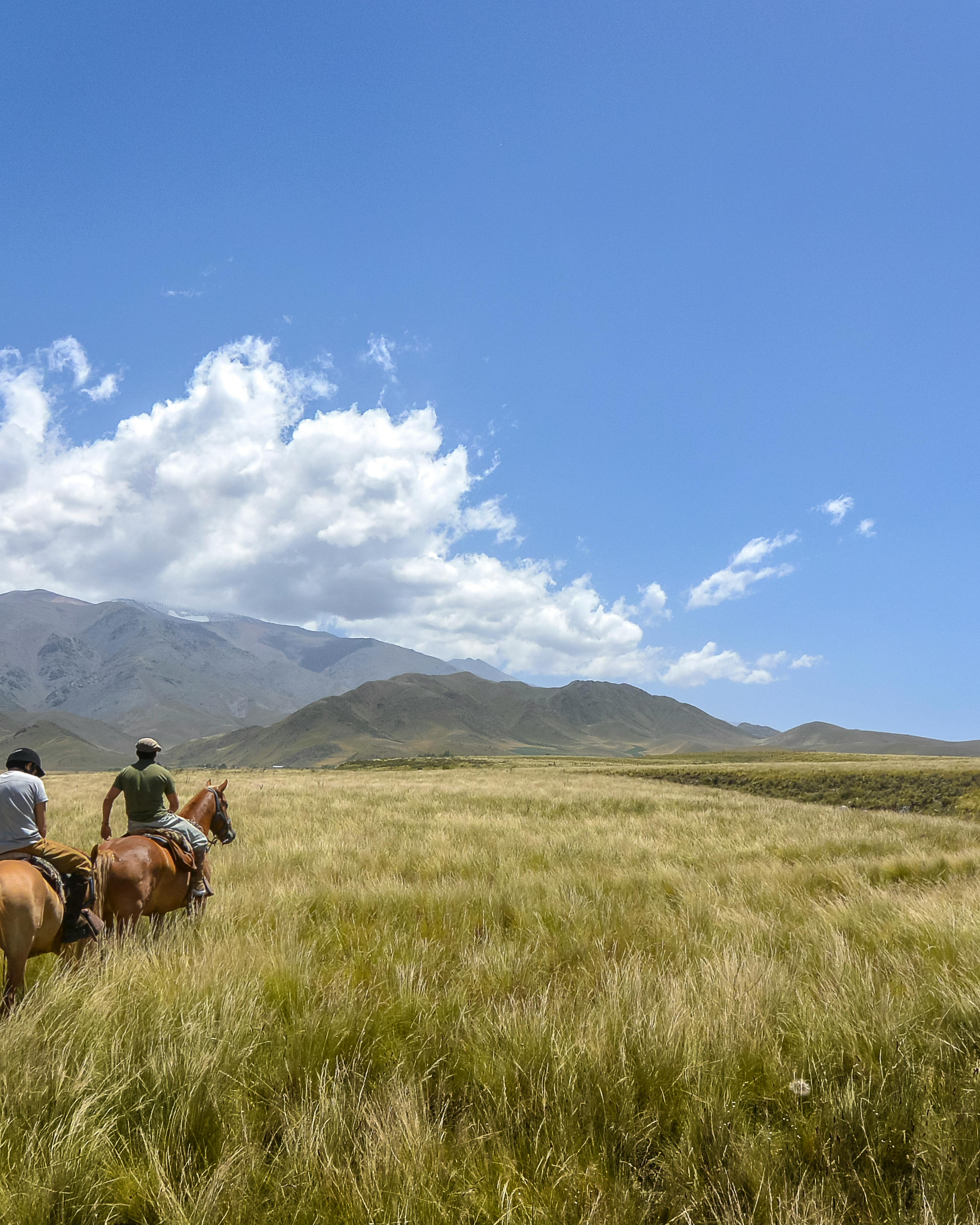 Horseback Riding Through Grassy Plain