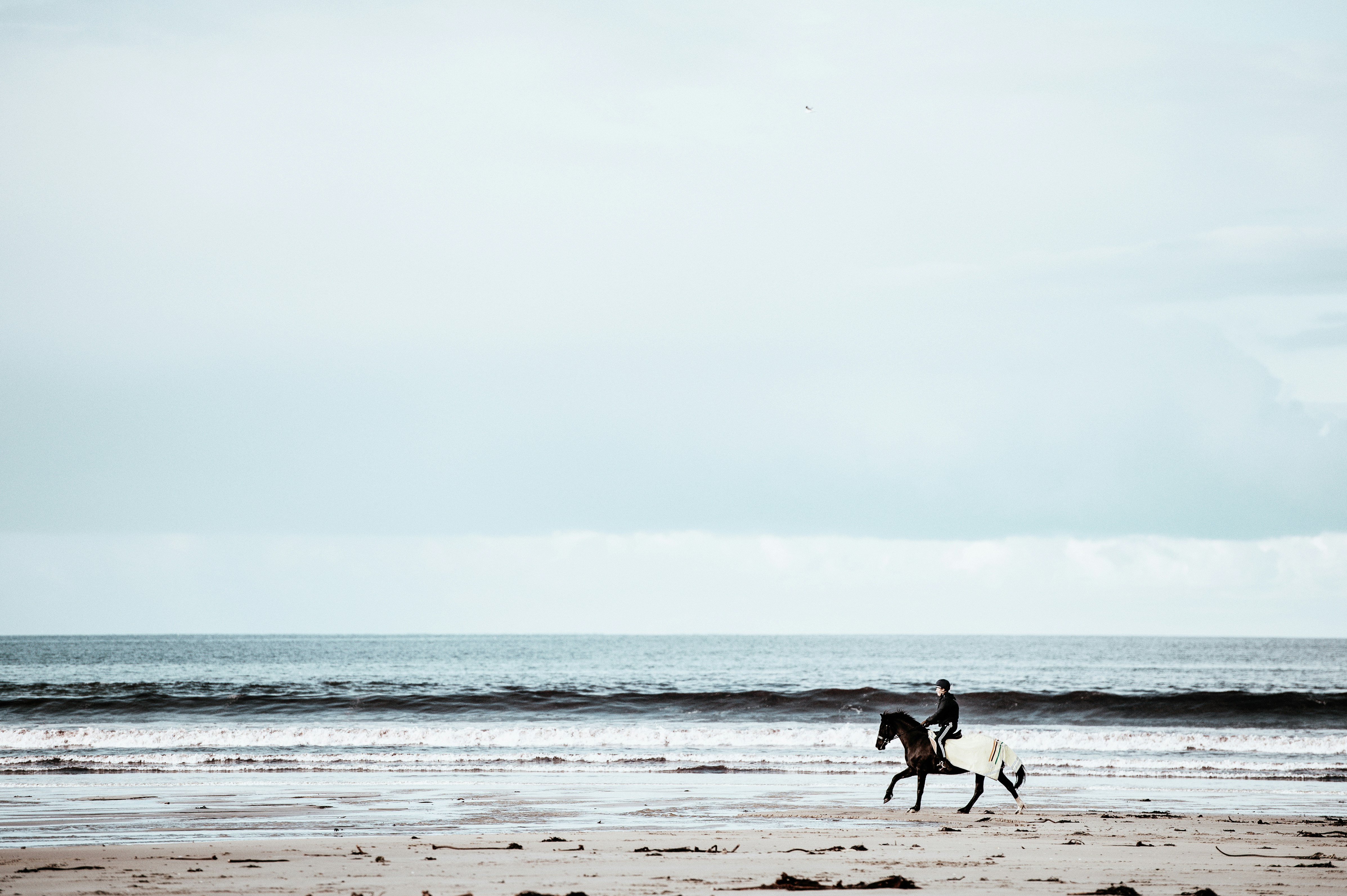Horseback Riding on Beach