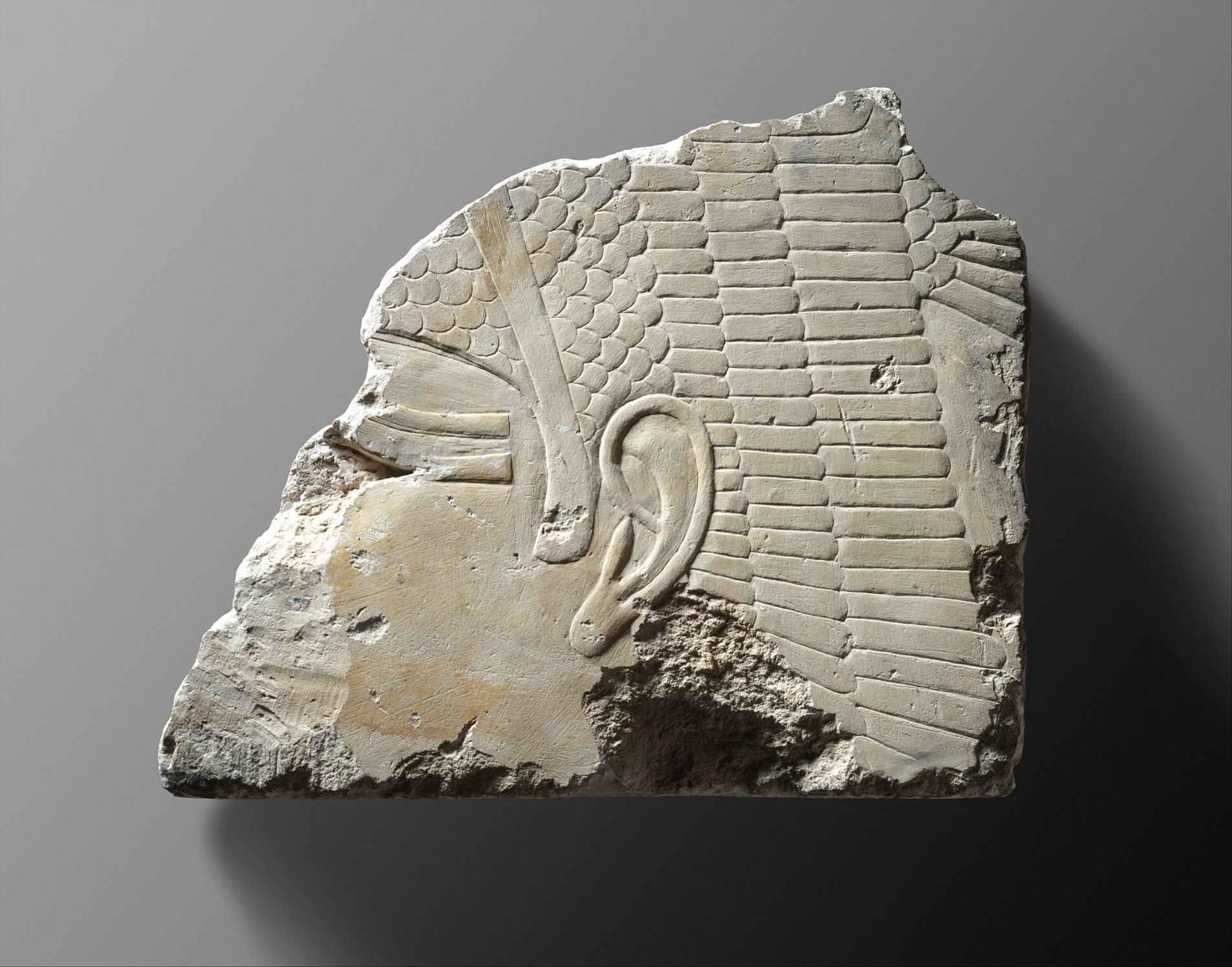 Ancient Egyptian Head Relief Fragment