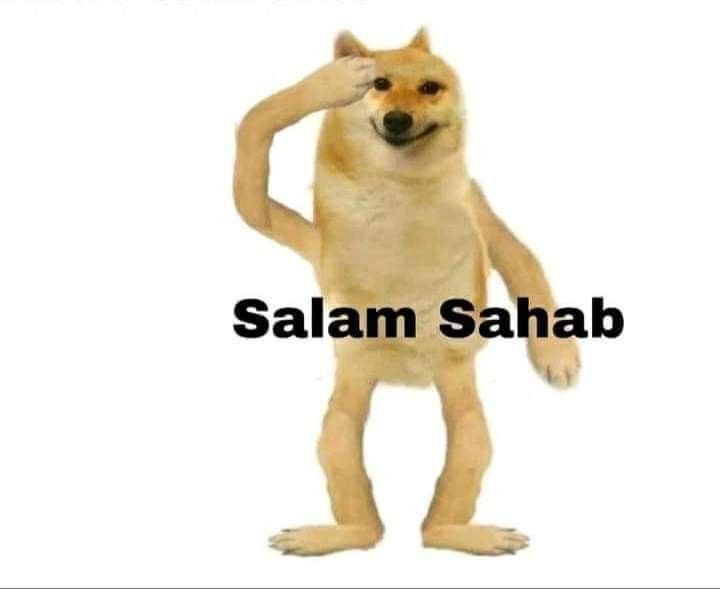 Salam Sahab Saluting Dog Meme