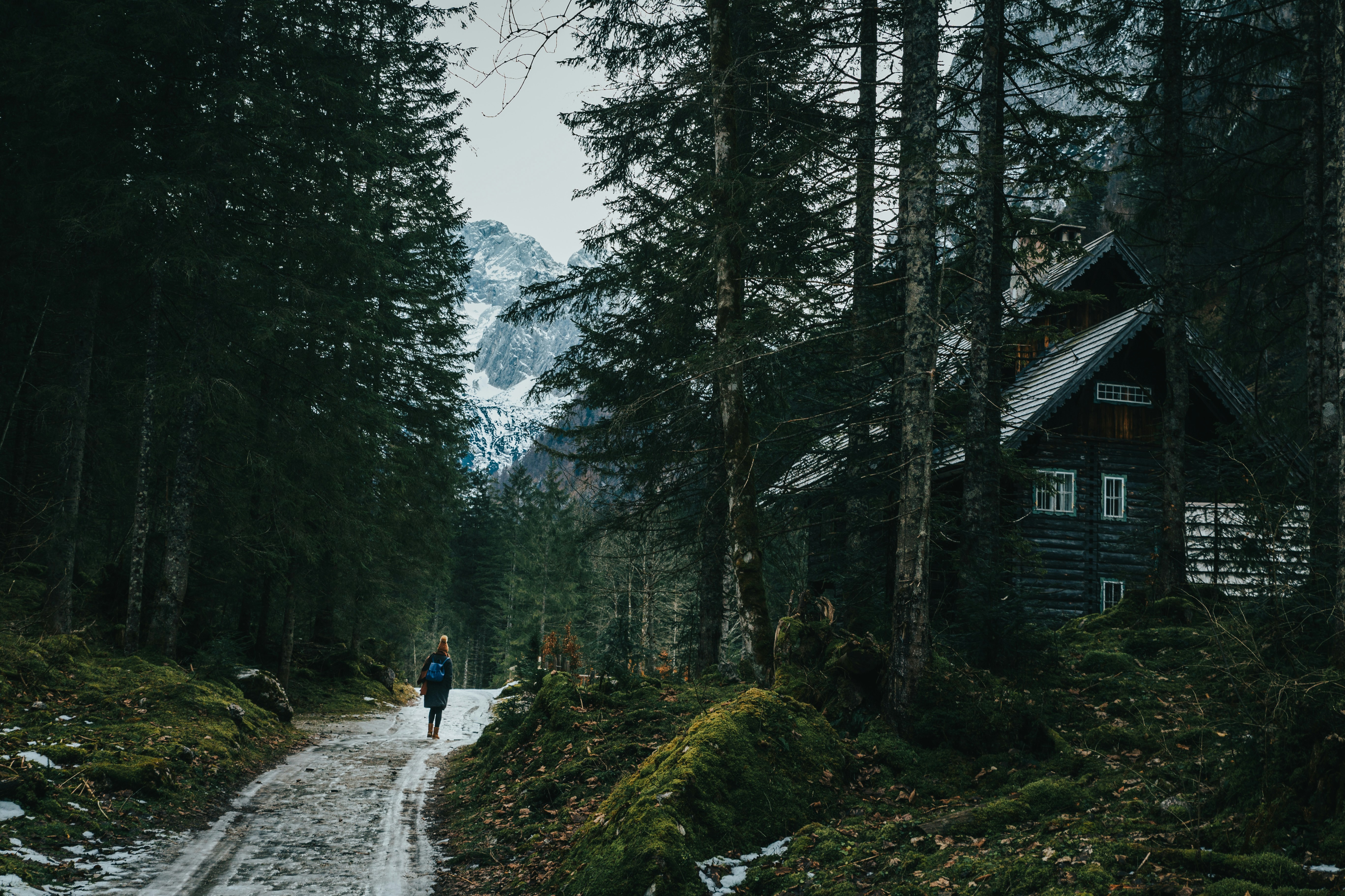 Hiker on Forest Path to Alpine Cabin